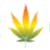 Paradise Cannabis - Fort Erie